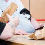 Les créateurs en fête (99) Web